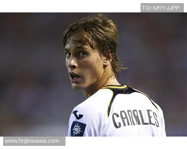 捷克足球国家队的辉煌历史与未来展望解析